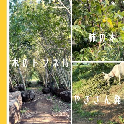 植栽園さまでのひととき。。